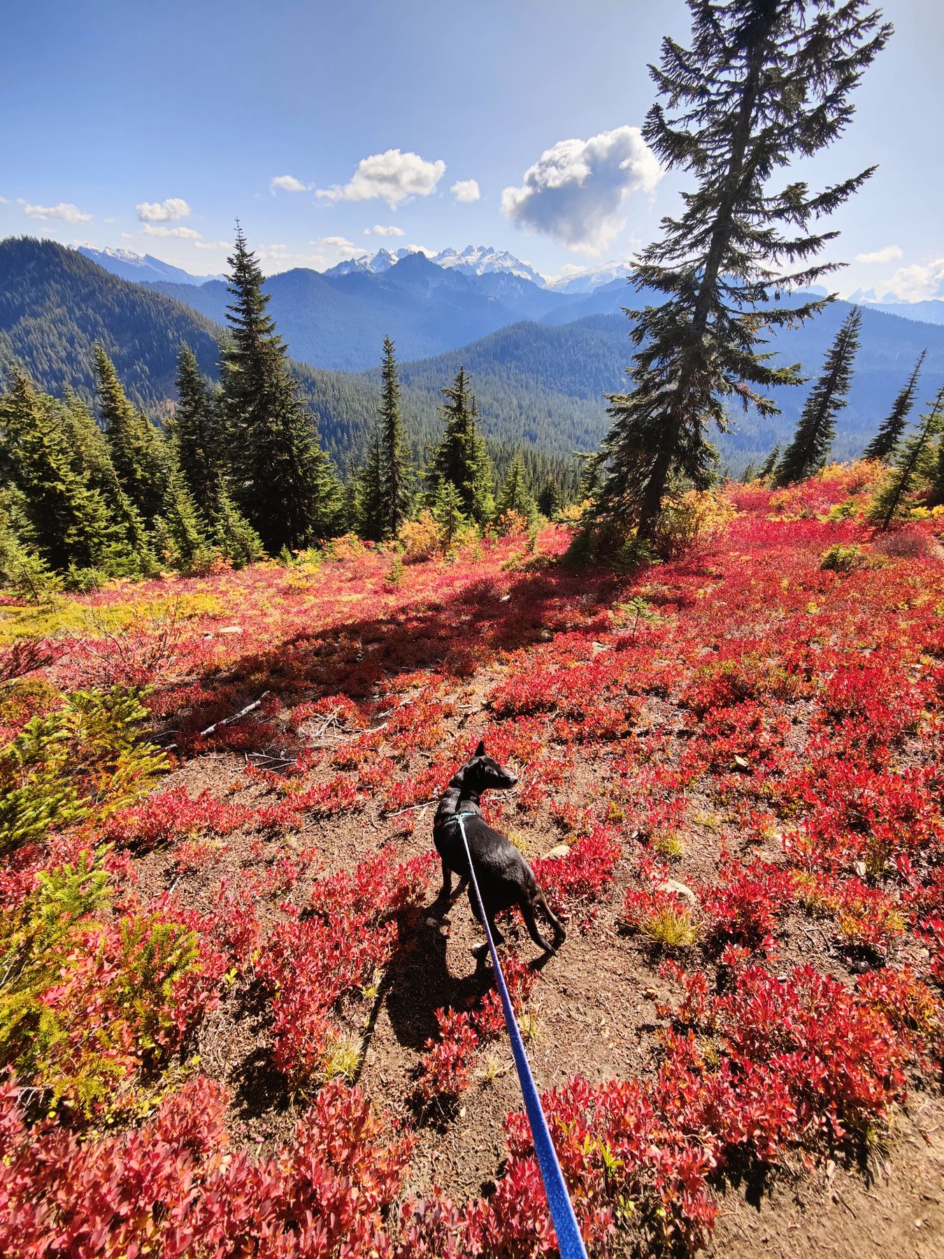 Tonga Ridge / Mount Sawyer